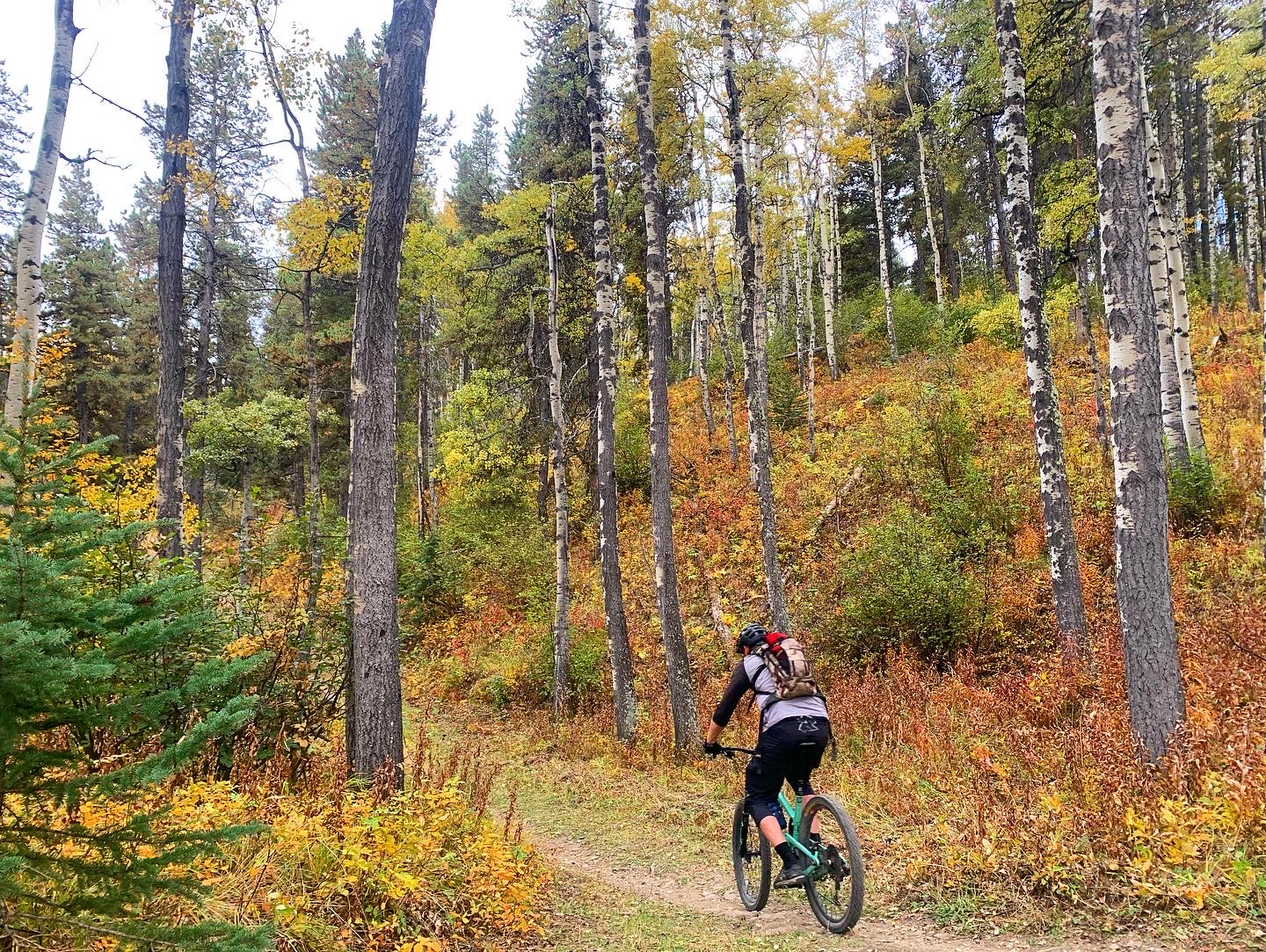 West creek best sale mountain bike trail